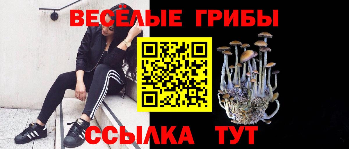 Геленджик  Галлюциногенные грибы мухоморы  купить   Вход с VPN 